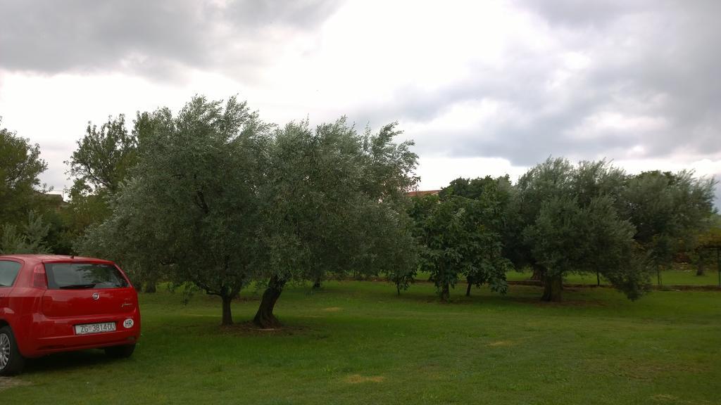 Apartments Free Parking Big Garden Peroj Quarto foto